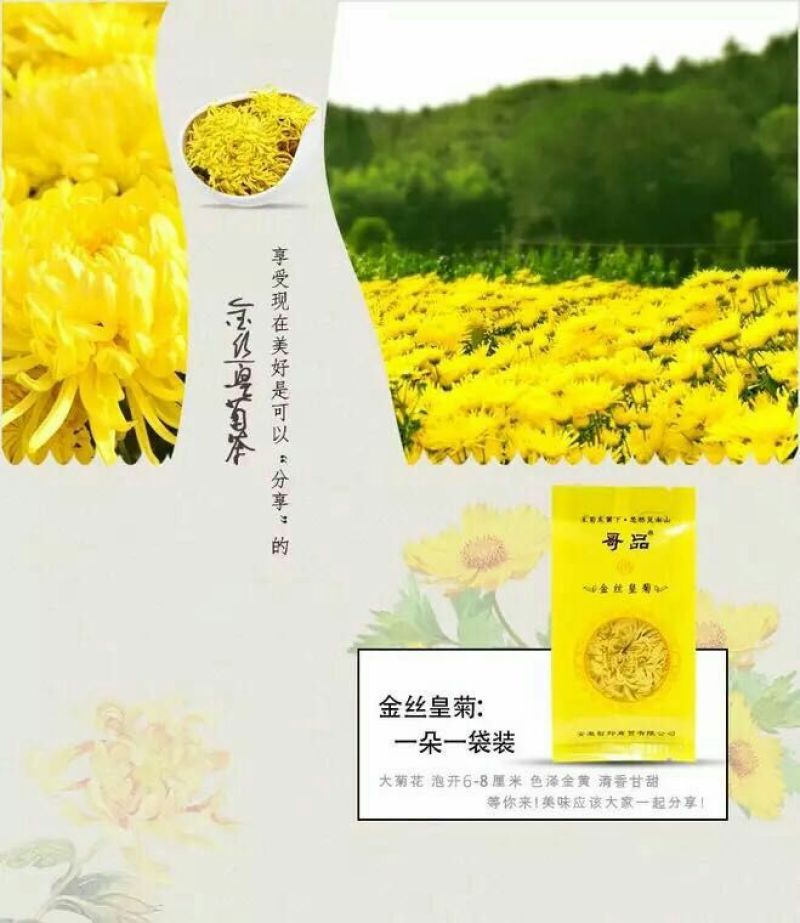 金丝皇菊茶特级