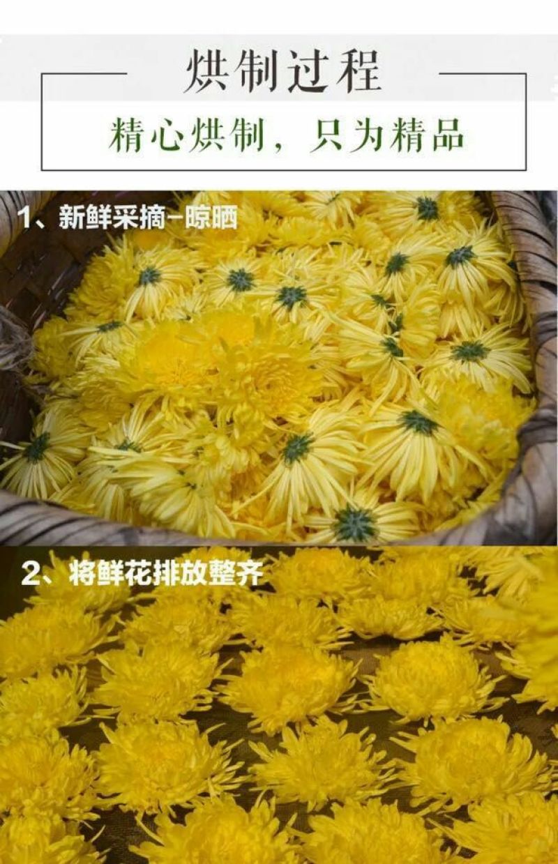 金丝皇菊茶特级