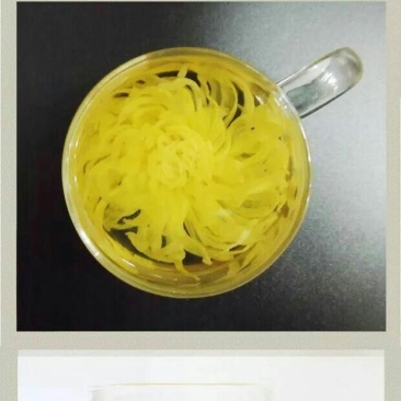 金丝皇菊茶特级