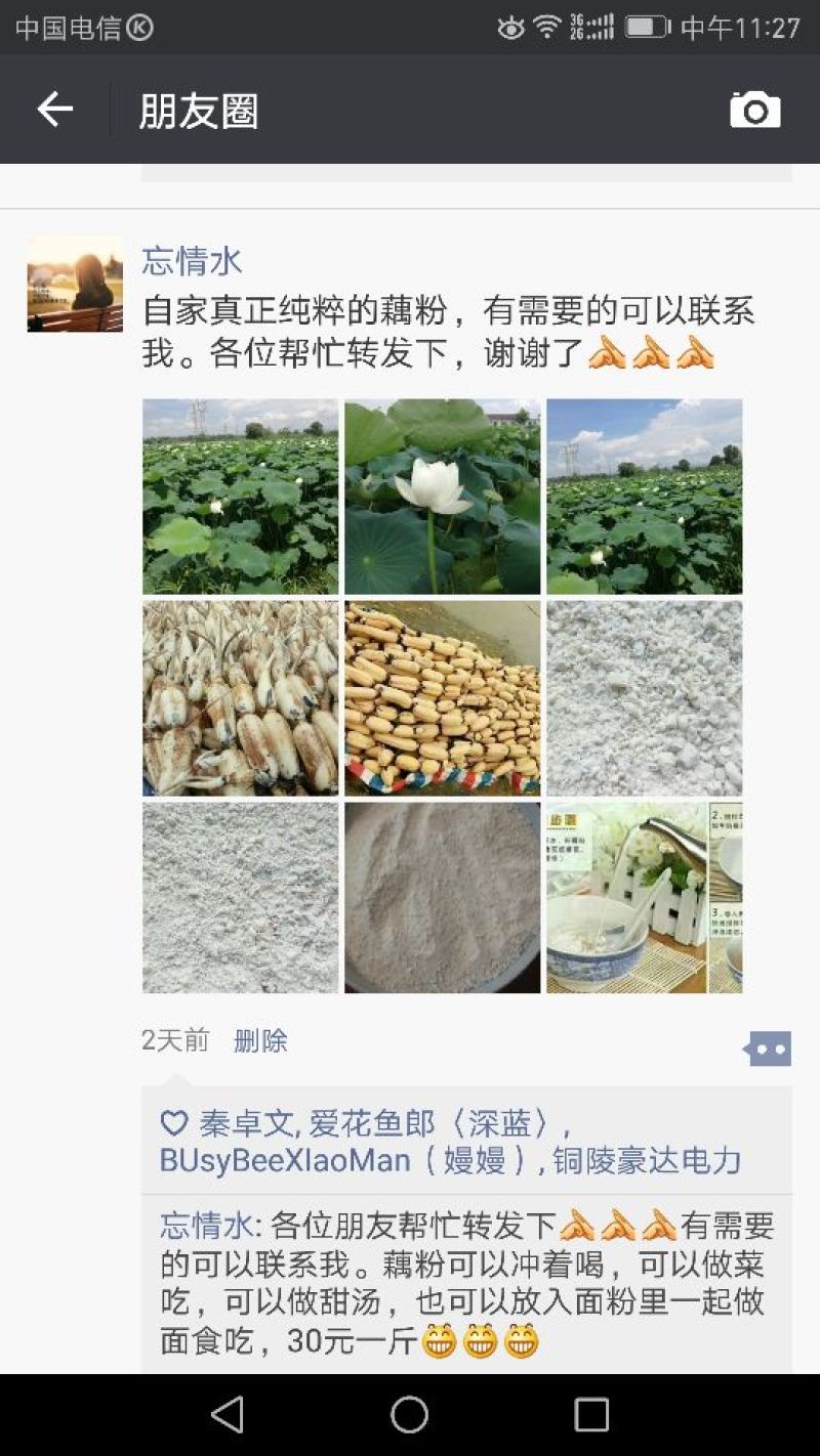 藕粉散装
