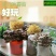 菌包香菇平菇猴头菇灵芝菌棒菌袋栽培袋批发