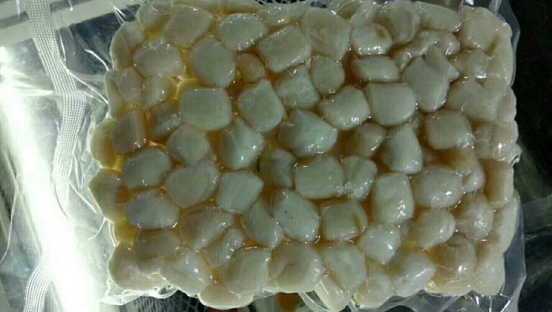 扇贝食用鲜活20~30只/kg