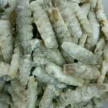 皮皮虾冰鲜虾