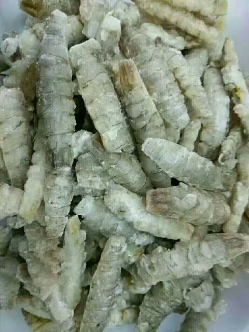皮皮虾冰鲜虾