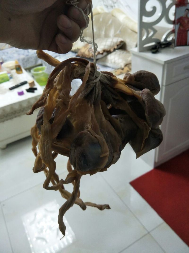 黑鸭