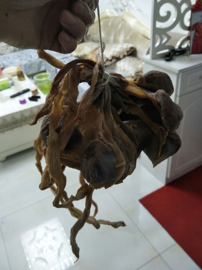 黑鸭