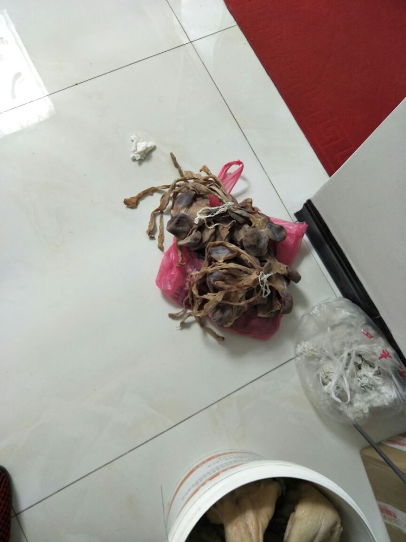 黑鸭