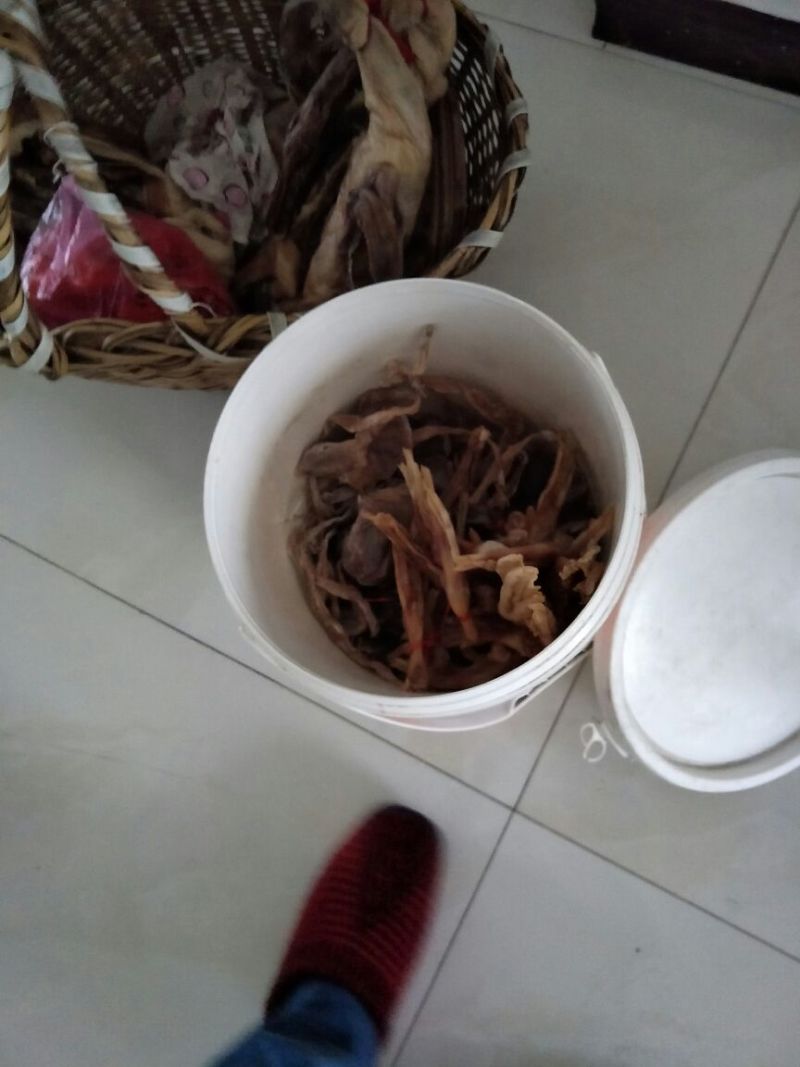 黑鸭