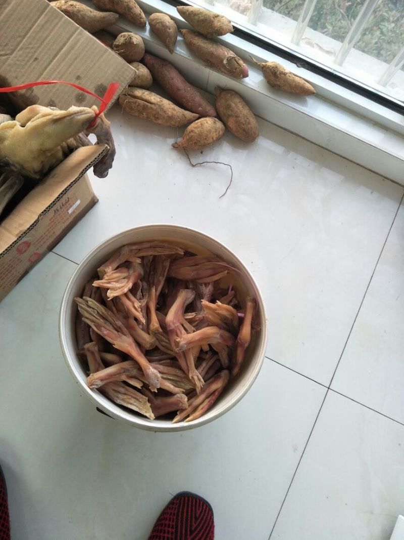 黑鸭