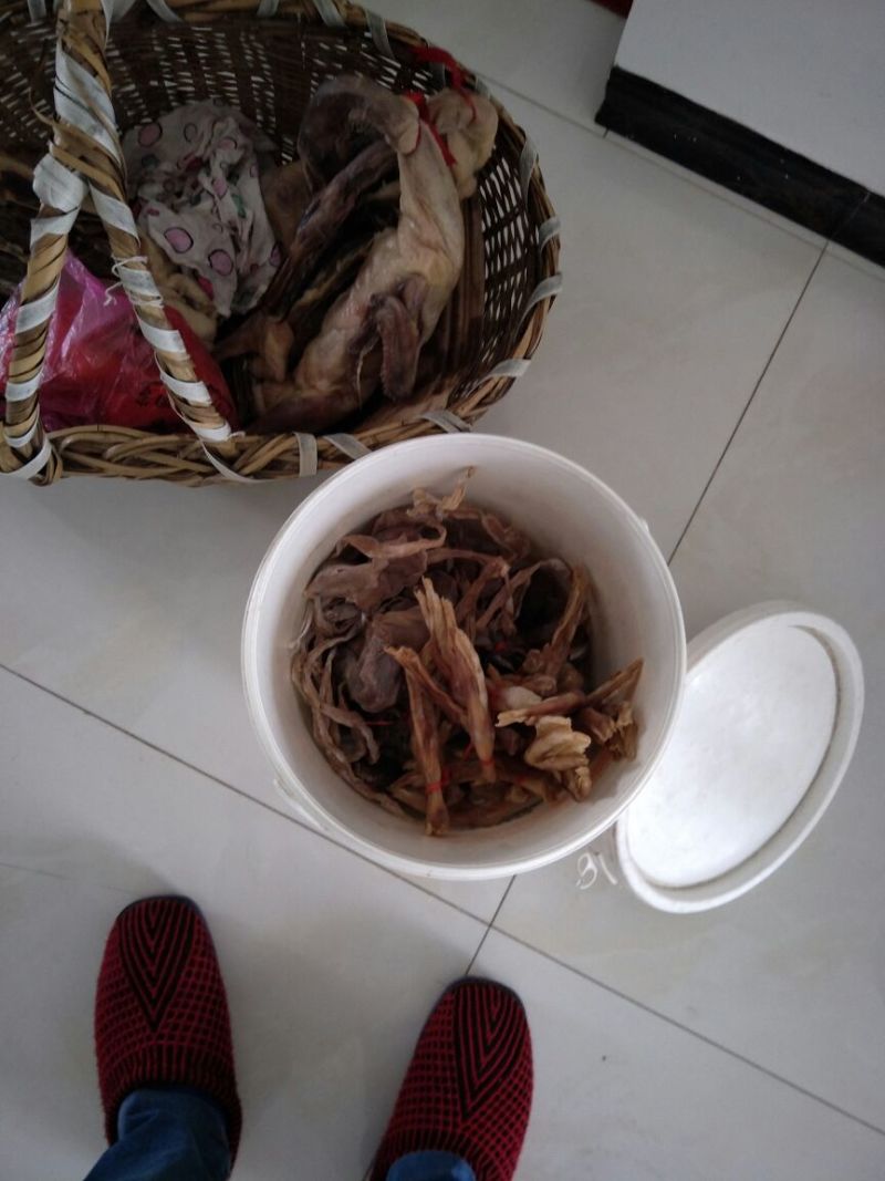 黑鸭