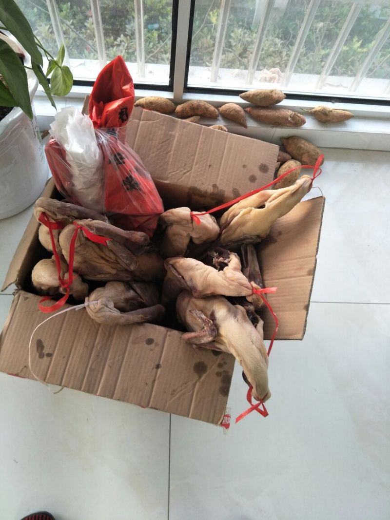 黑鸭