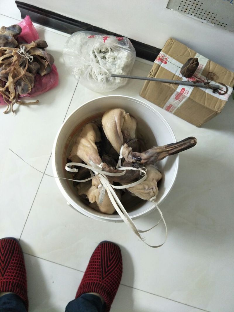 黑鸭
