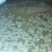 豆腐湿豆腐