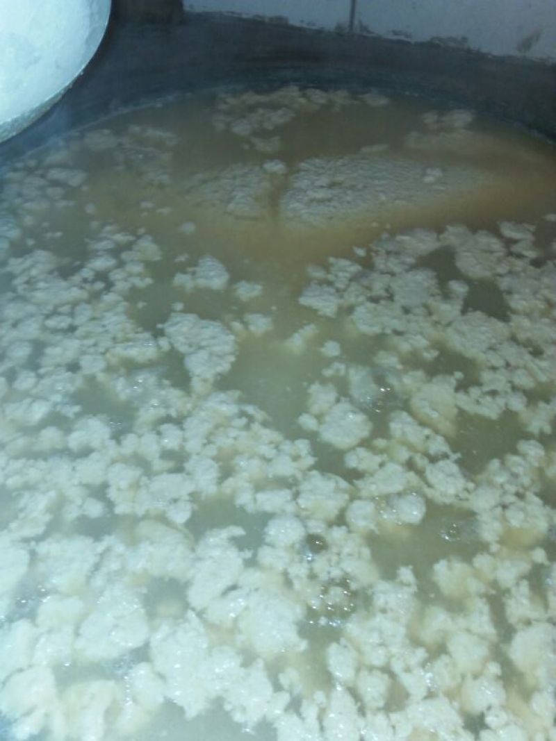 豆腐湿豆腐