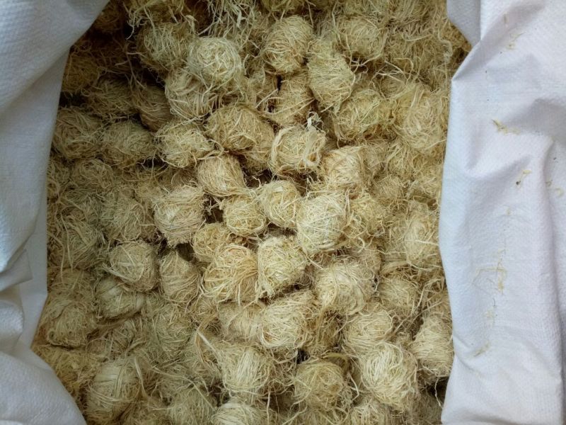 竹茹广西干货圆球量大从优经营各种中药材