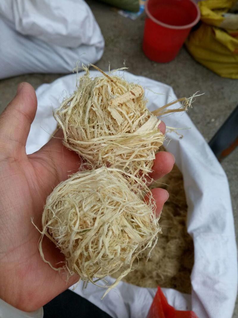 竹茹广西干货圆球量大从优经营各种中药材
