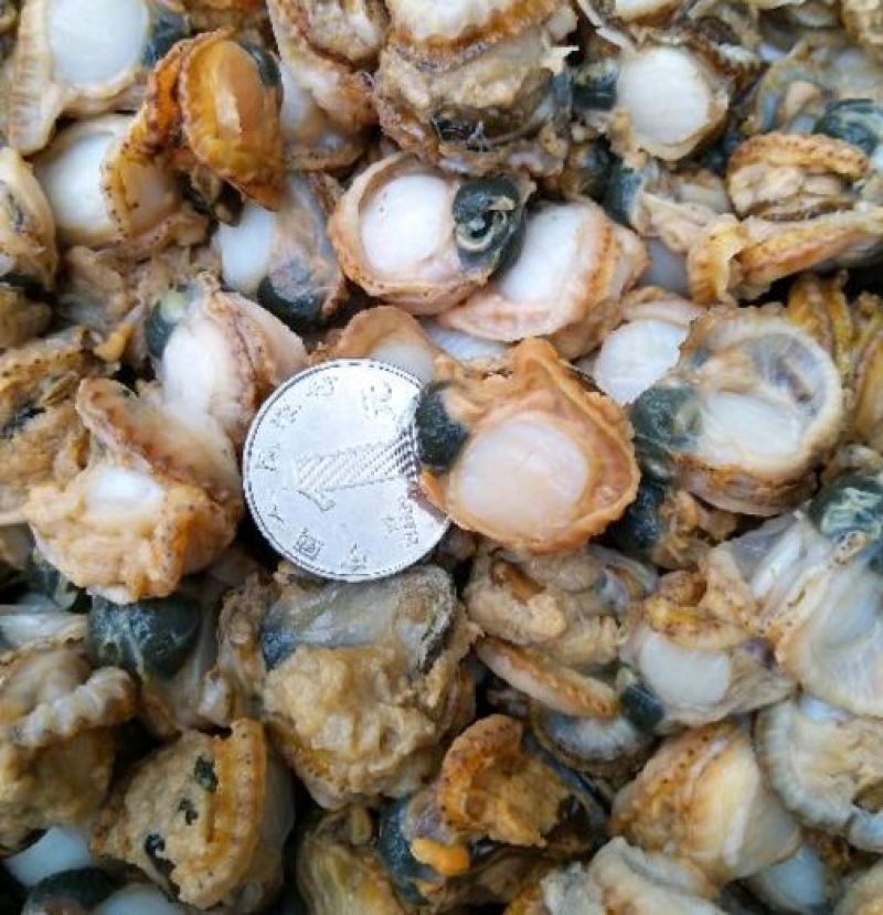 扇贝食用冰冻0.1只/kg以下