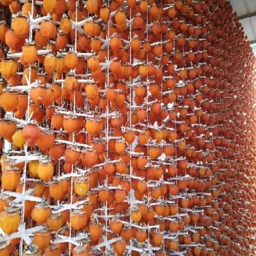 柿饼1~2两