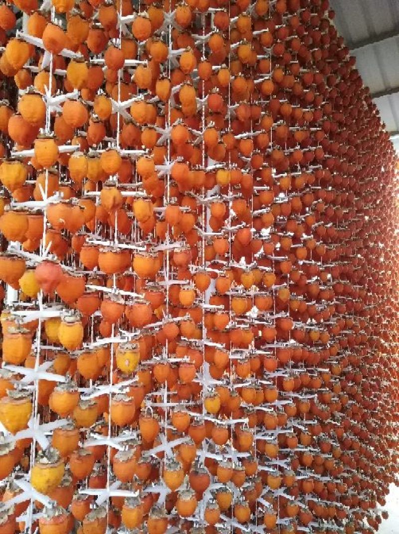 柿饼1~2两