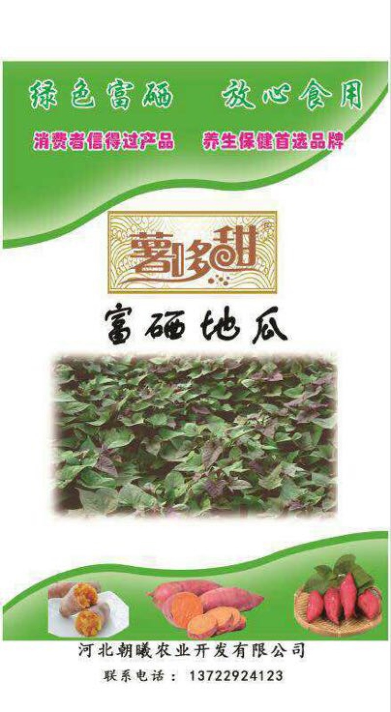 西瓜红商品薯红心3两以下