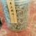 藤茶藤茶莓茶〉