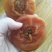 柿饼1~2两