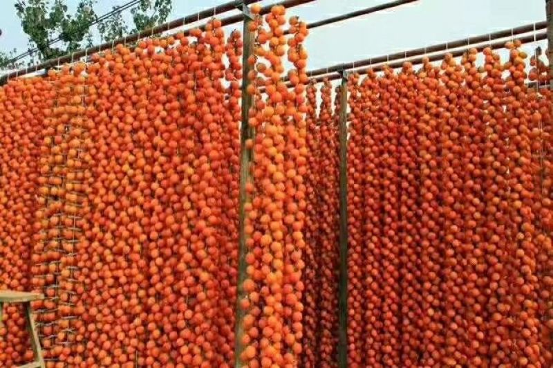 柿饼1~2两