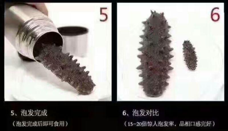 速发海参食用淡干大连