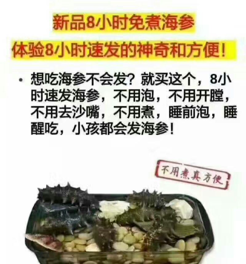速发海参食用淡干大连