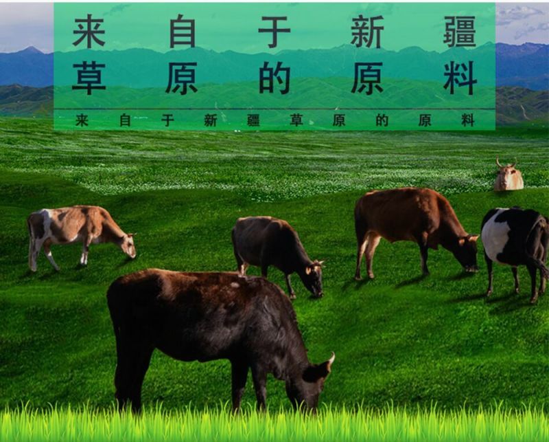羊肉干麻辣牛肉干