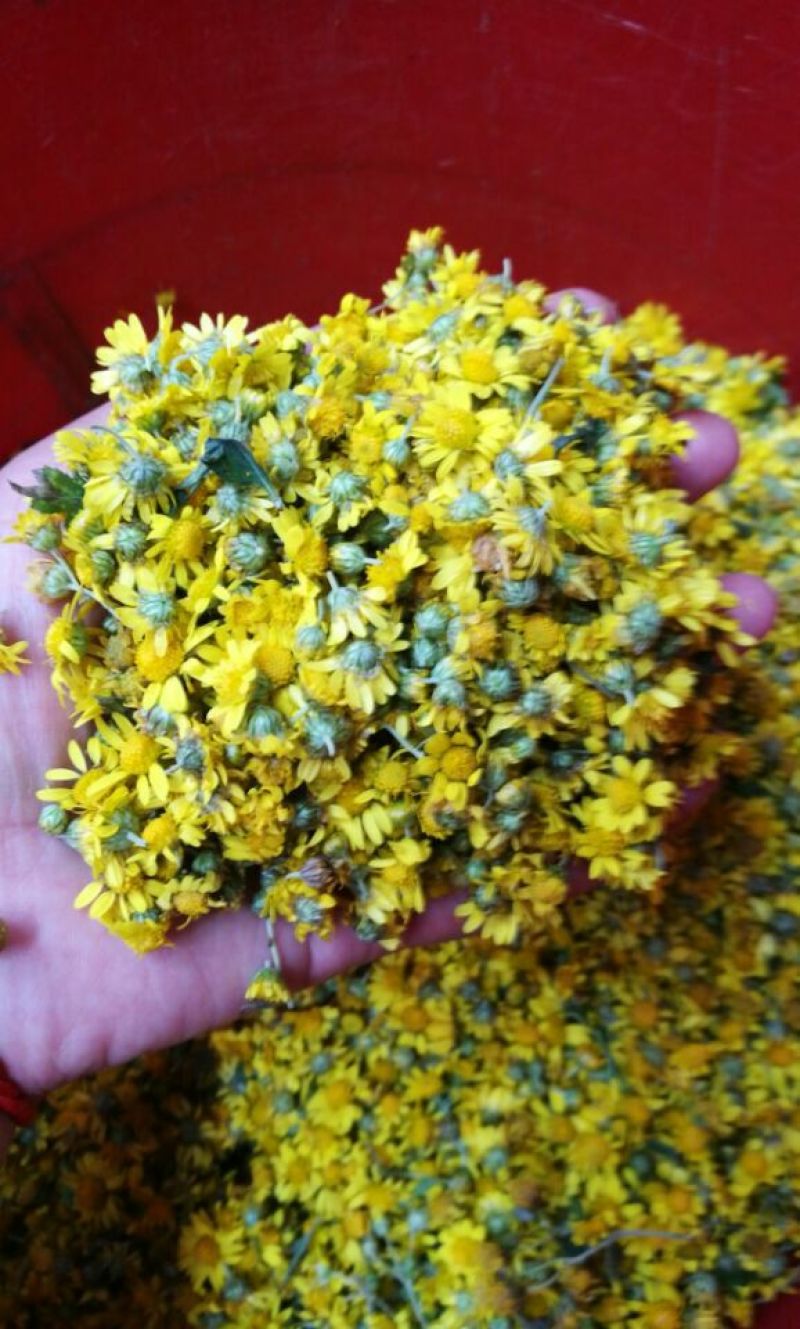 野菊花袋装
