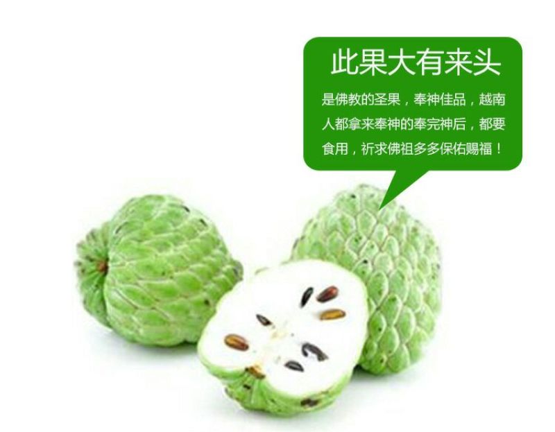 番荔枝苗30~50cm