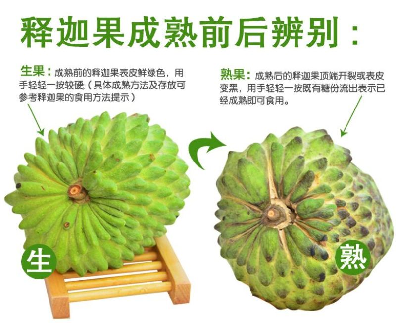番荔枝苗30~50cm