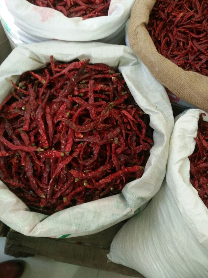 干辣椒三樱椒，新一代，魔鬼椒，9成干以上通货