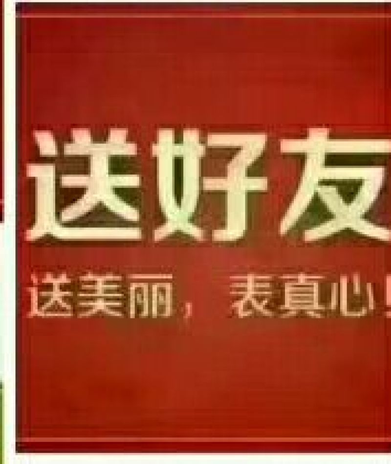 绿豆粉皮包装手工粉皮