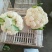 白花菜包装