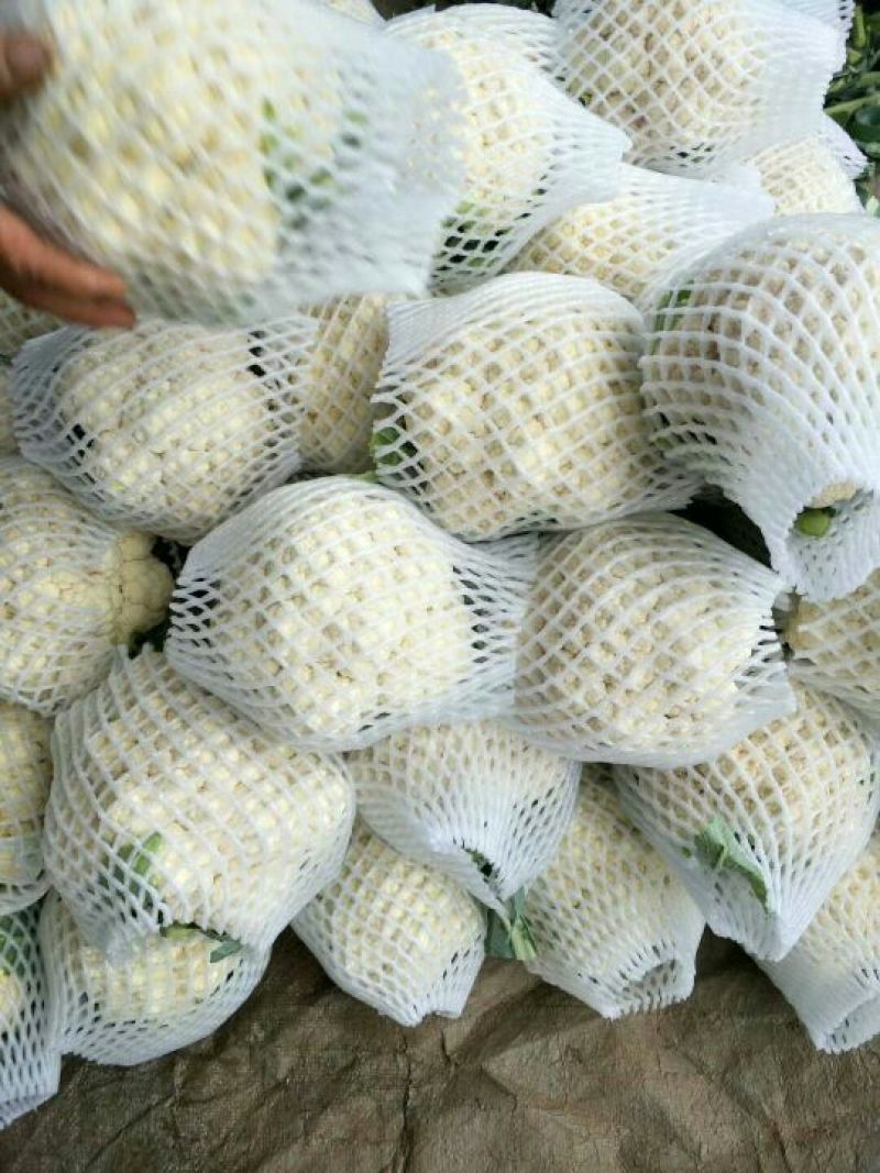 白花菜包装
