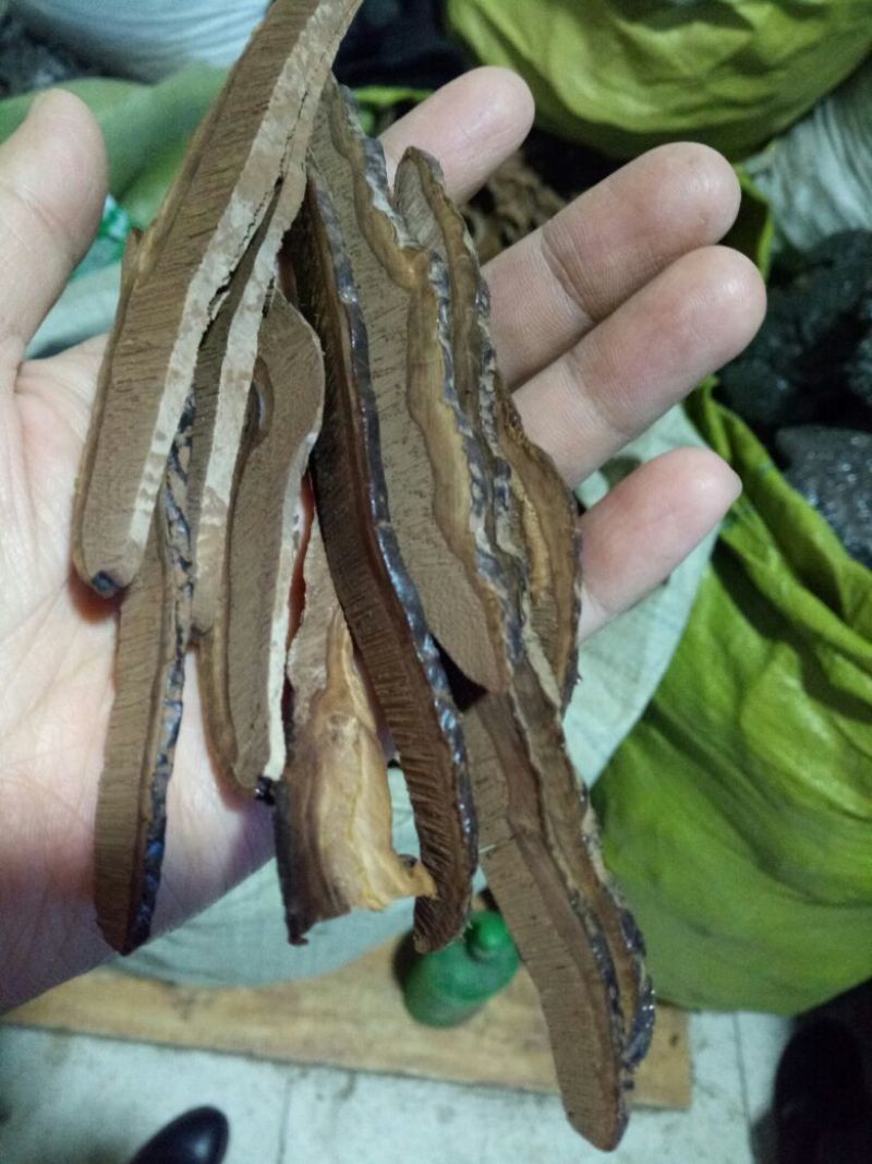 中药材灵芝干货2斤起包邮量大从优