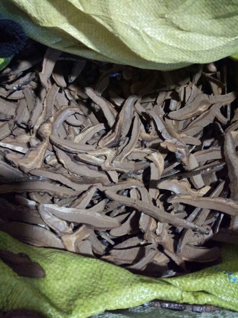 中药材灵芝干货2斤起包邮量大从优