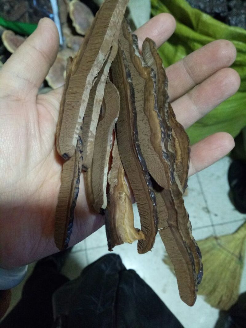 中药材灵芝干货2斤起包邮量大从优