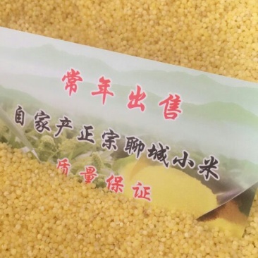 小米袋装