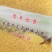小米袋装