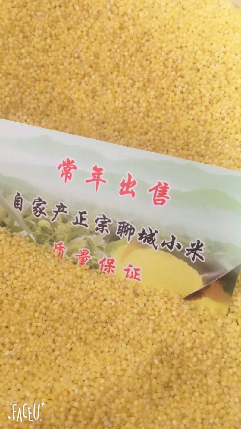 小米袋装