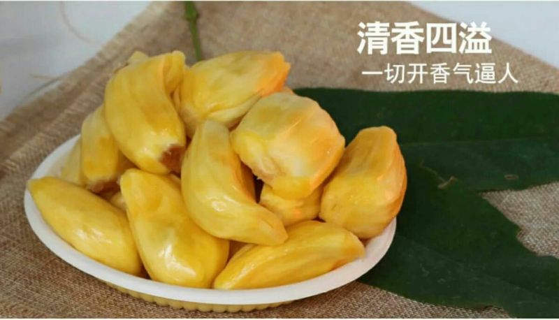 海南菠萝蜜10到14斤整个