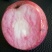 红色之爱红肉苹果树苗适合全国种植2年结果