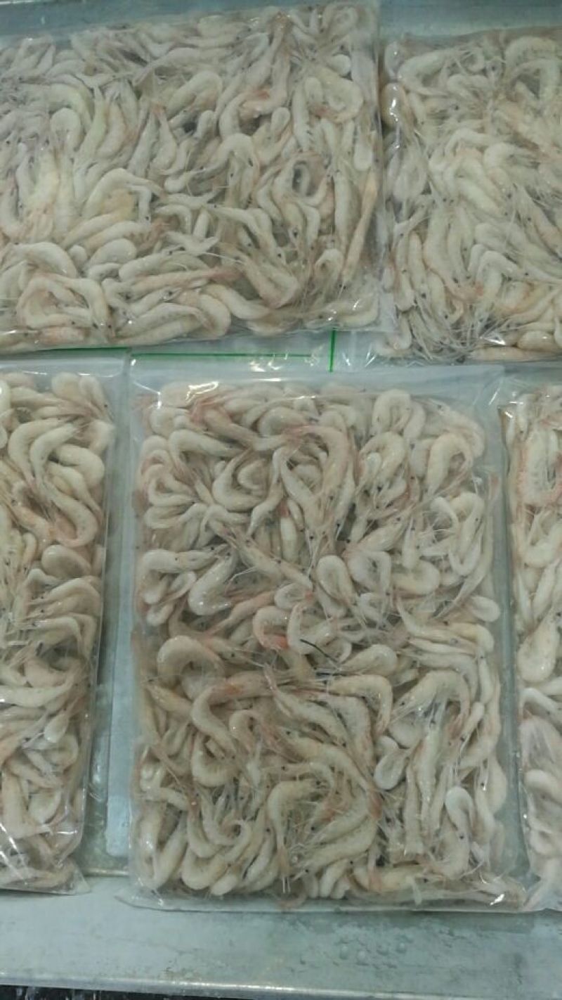 白米虾
