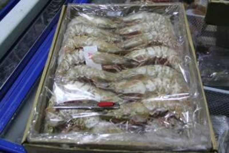 基围虾食用活虾