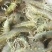 基围虾食用活虾