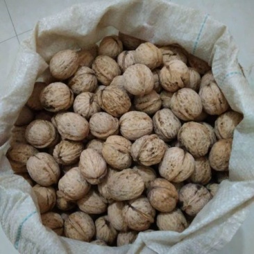 薄皮核桃绿色，无增加