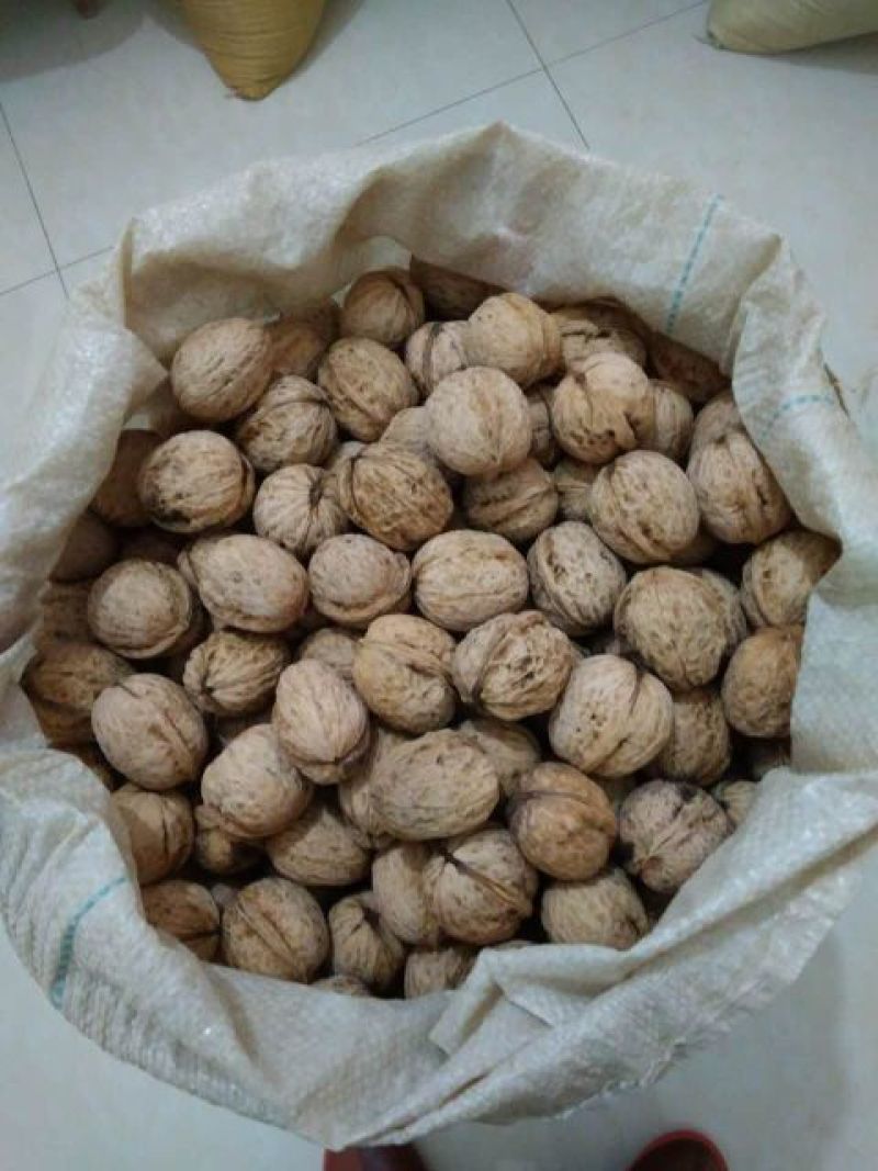 薄皮核桃去皮30mm以上干